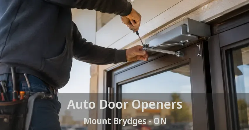 Auto Door Openers Mount Brydges - ON