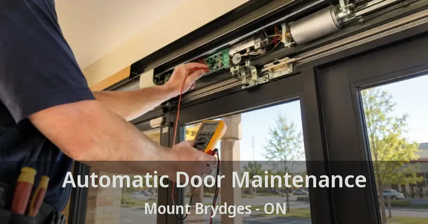 Automatic Door Maintenance Mount Brydges - ON
