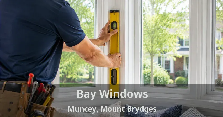 Bay Windows Muncey, Mount Brydges - ON