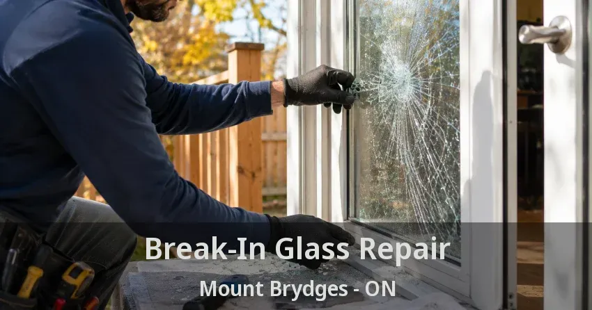 Break-In Glass Repair Mount Brydges - ON