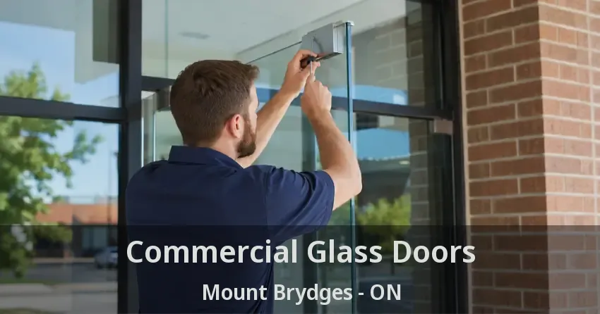 Commercial Glass Doors Mount Brydges - ON