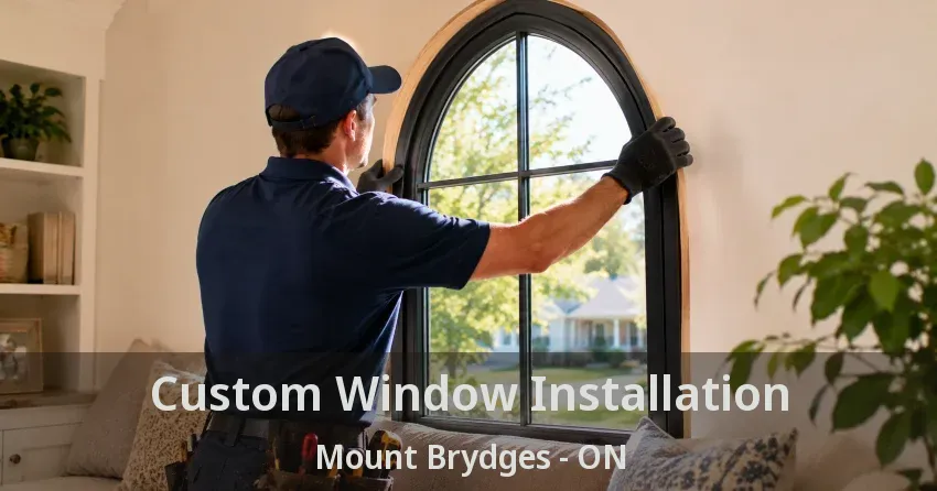 Custom Window Installation Mount Brydges - ON