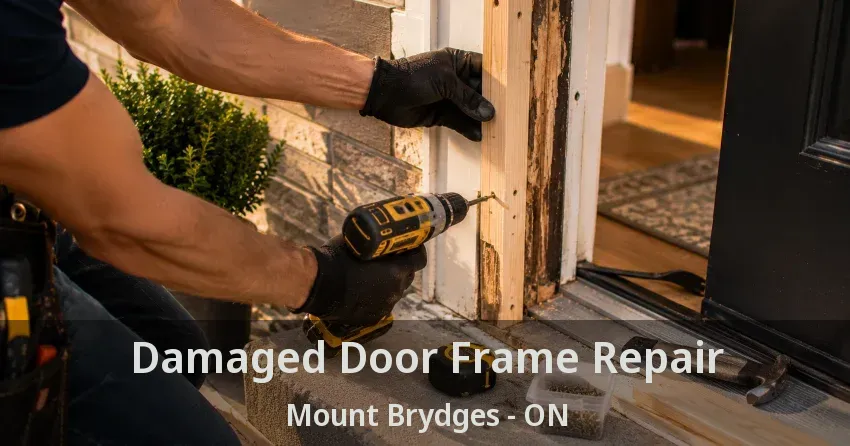 Damaged Door Frame Repair Mount Brydges - ON