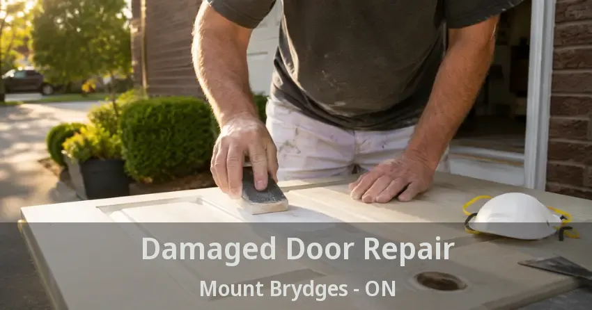 Damaged Door Repair Mount Brydges - ON