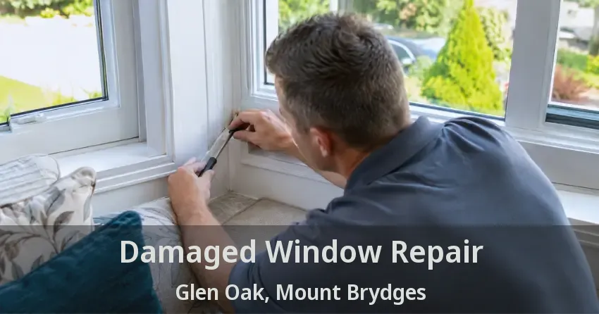 Damaged Window Repair Glen Oak, Mount Brydges - ON