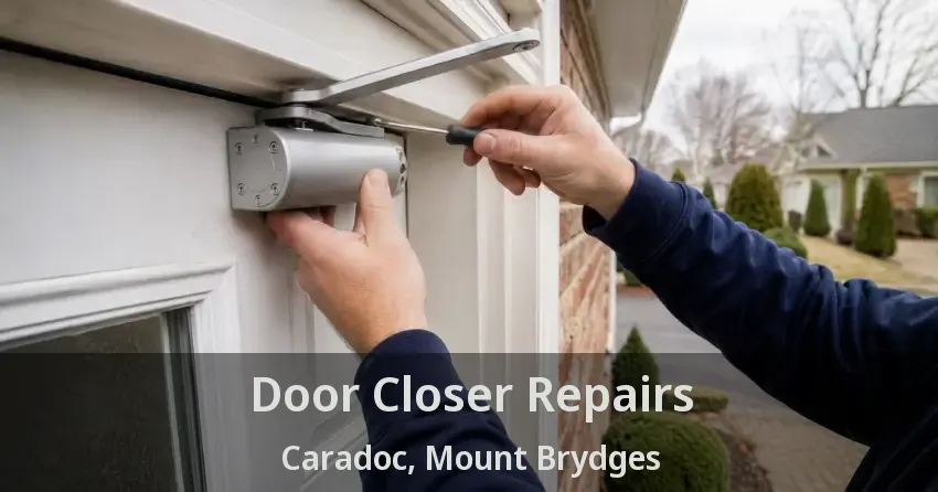 Door Closer Repairs Caradoc, Mount Brydges - ON