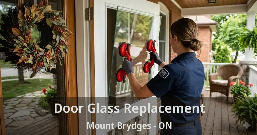 Door Glass Replacement Mount Brydges - ON