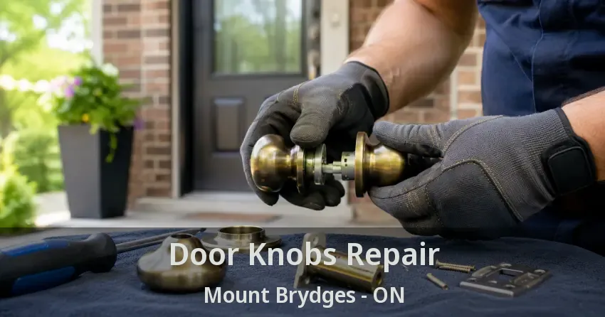 Door Knobs Repair Mount Brydges - ON