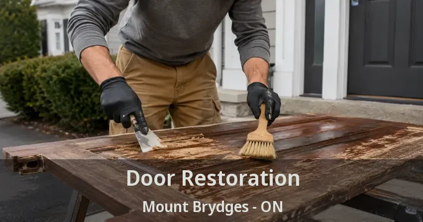 Door Restoration Mount Brydges - ON