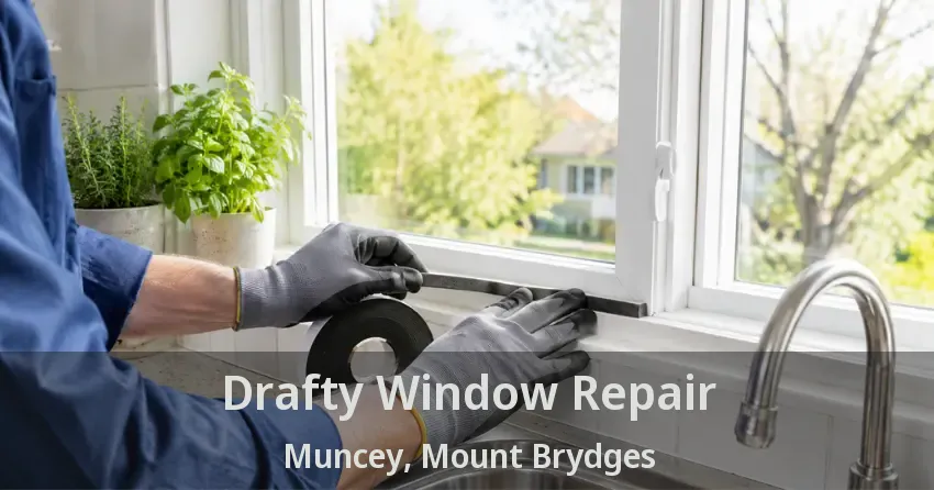 Drafty Window Repair Muncey, Mount Brydges - ON