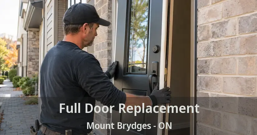 Full Door Replacement Mount Brydges - ON