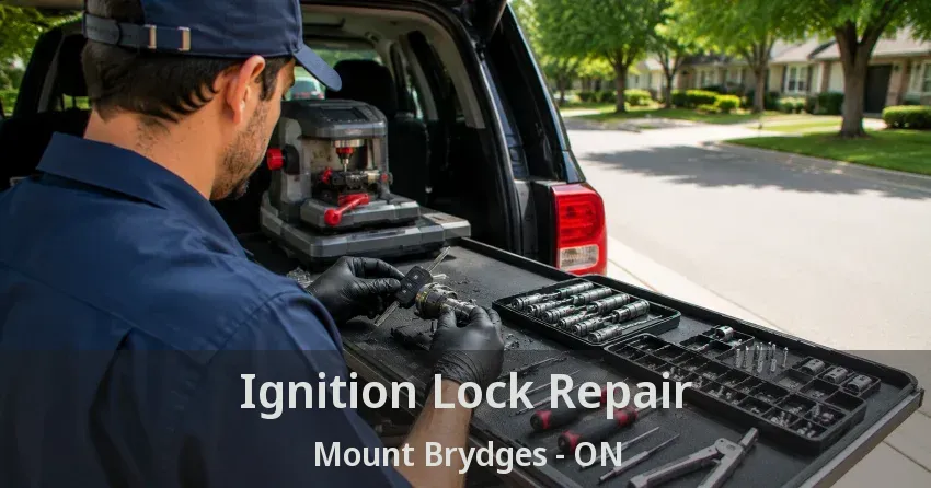 Ignition Lock Repair Mount Brydges - ON