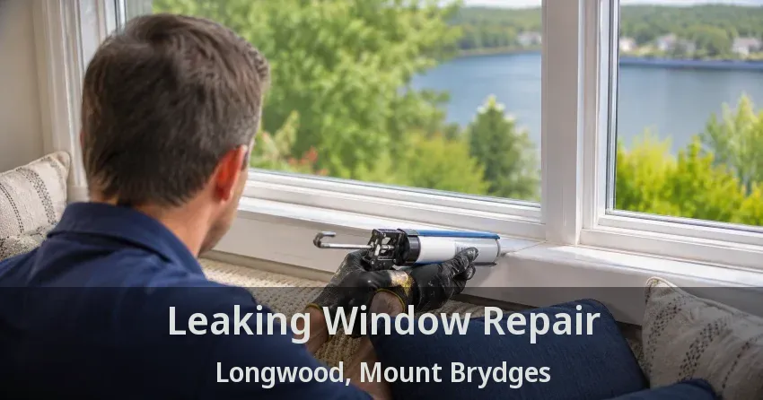 Leaking Window Repair Longwood, Mount Brydges - ON
