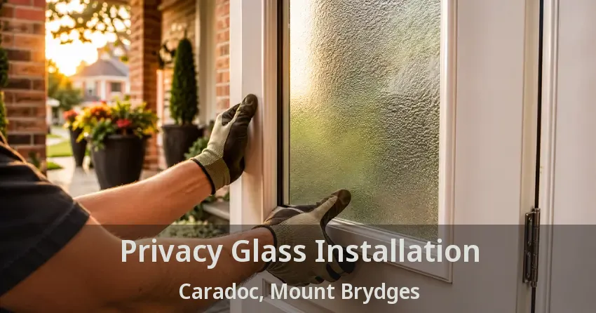 Privacy Glass Installation Caradoc, Mount Brydges - ON