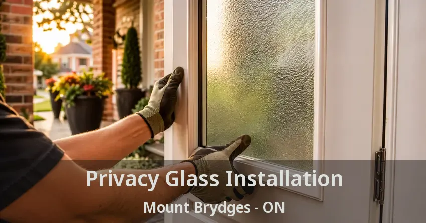 Privacy Glass Installation Mount Brydges - ON