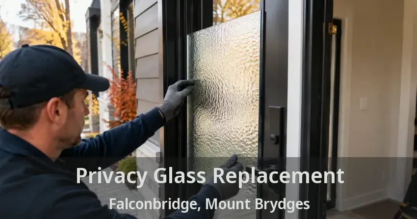 Privacy Glass Replacement Falconbridge, Mount Brydges - ON