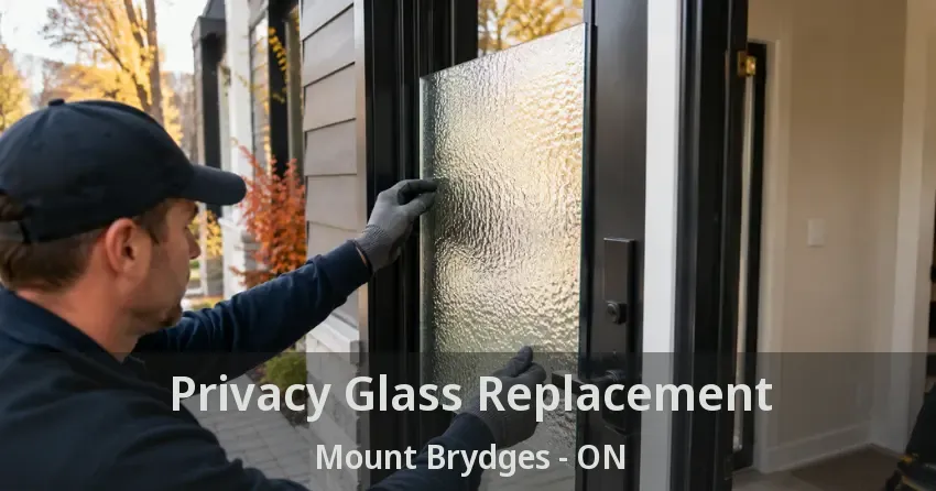 Privacy Glass Replacement Mount Brydges - ON