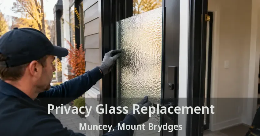 Privacy Glass Replacement Muncey, Mount Brydges - ON