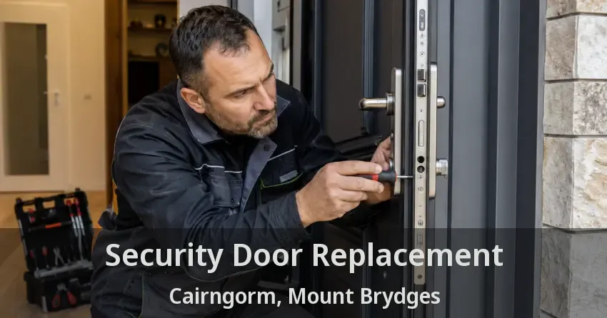 Security Door Replacement Cairngorm, Mount Brydges - ON