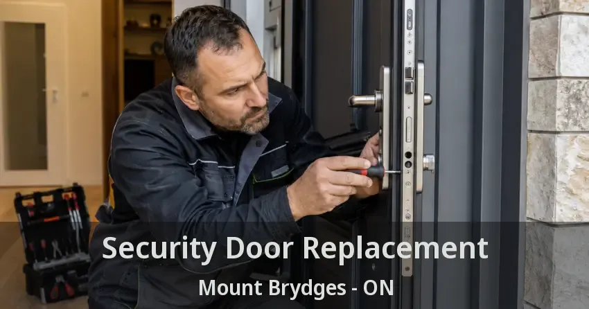 Security Door Replacement Mount Brydges - ON
