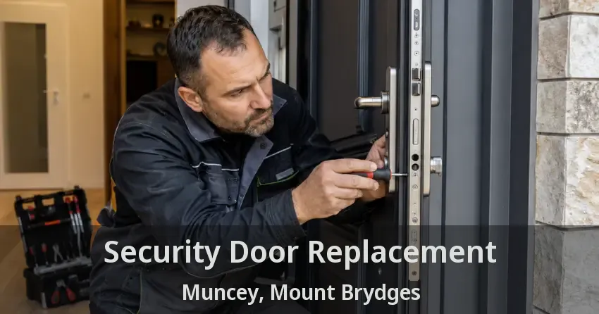 Security Door Replacement Muncey, Mount Brydges - ON