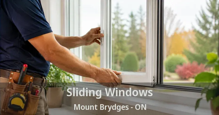 Sliding Windows Mount Brydges - ON