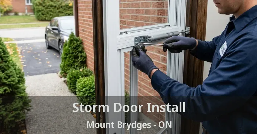 Storm Door Install Mount Brydges - ON