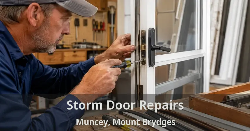 Storm Door Repairs Muncey, Mount Brydges - ON