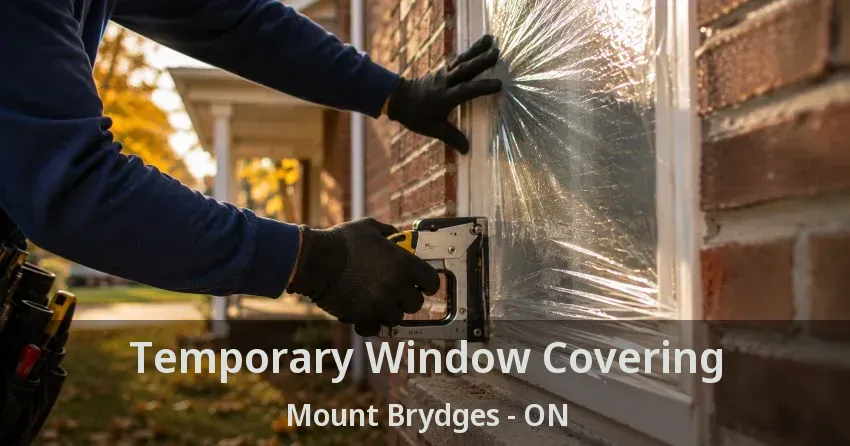 Temporary Window Covering Mount Brydges - ON