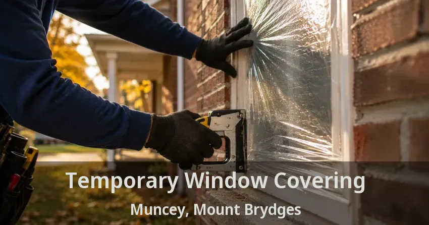 Temporary Window Covering Muncey, Mount Brydges - ON