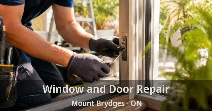 Window and Door Repair Mount Brydges - ON
