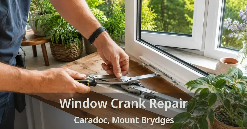 Window Crank Repair Caradoc, Mount Brydges - ON