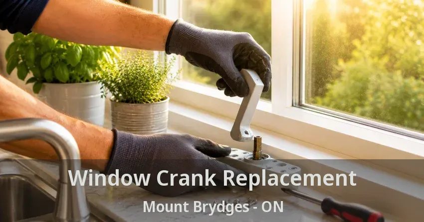 Window Crank Replacement Mount Brydges - ON