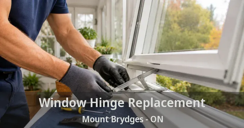 Window Hinge Replacement Mount Brydges - ON