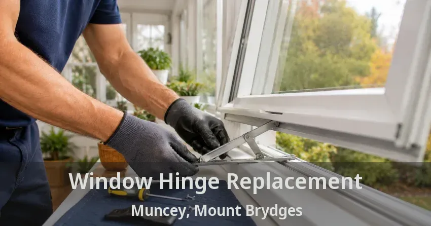 Window Hinge Replacement Muncey, Mount Brydges - ON